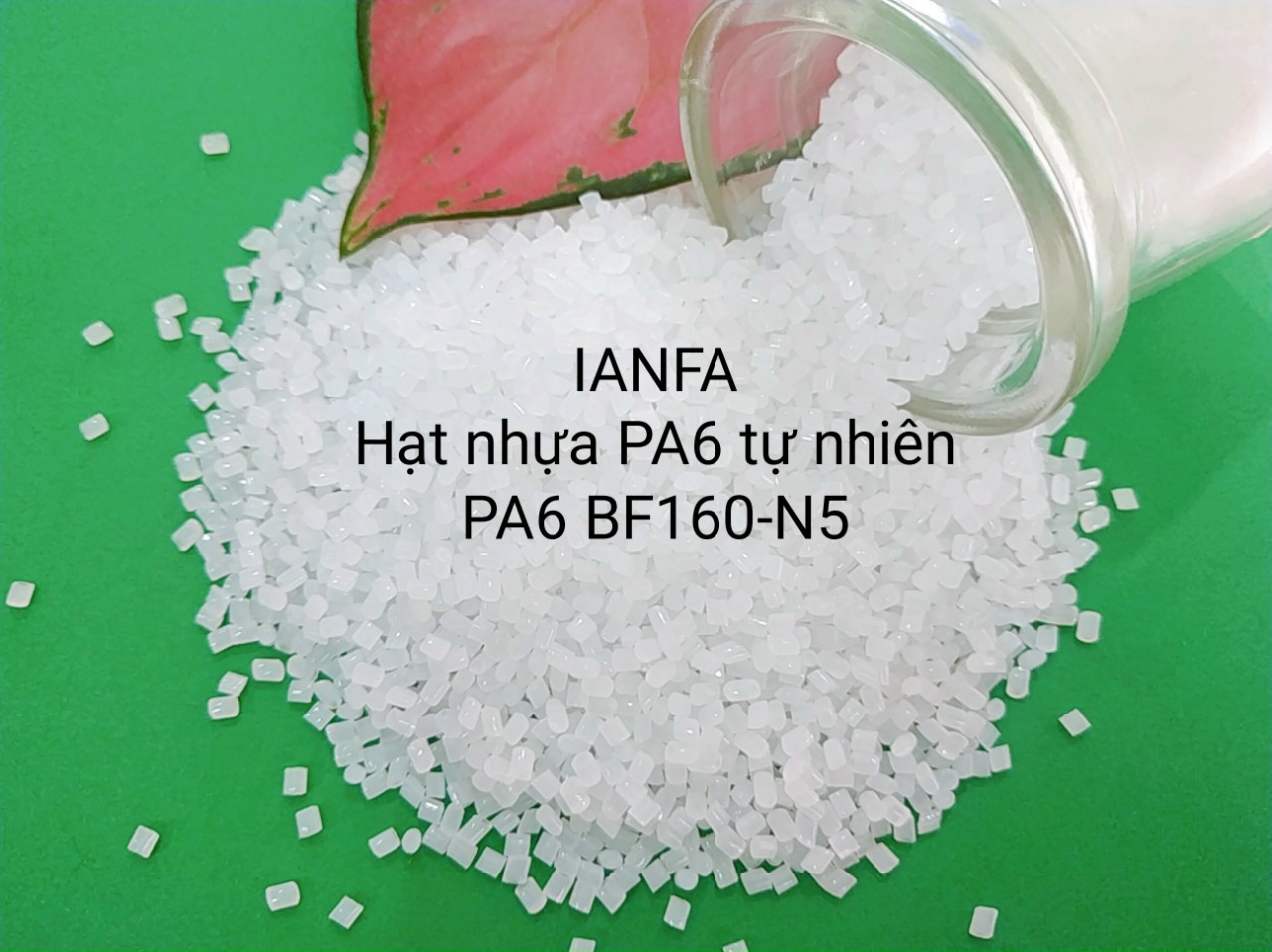Hạt nhựa PA6 tự nhiên - Công Ty TNHH IANFA